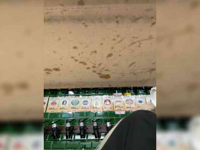KiraMalina webcam