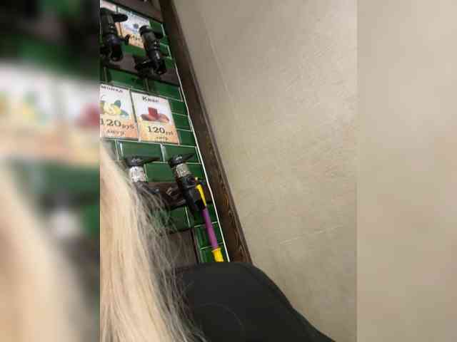 KiraMalina webcam