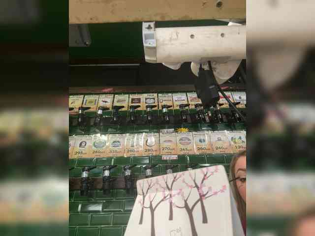KiraMalina webcam