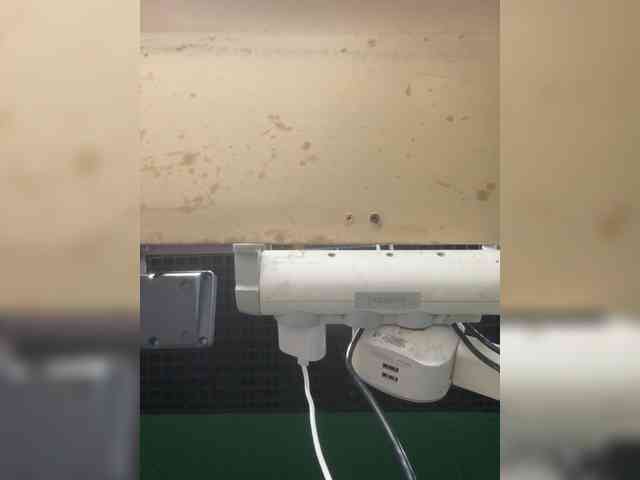 KiraMalina webcam