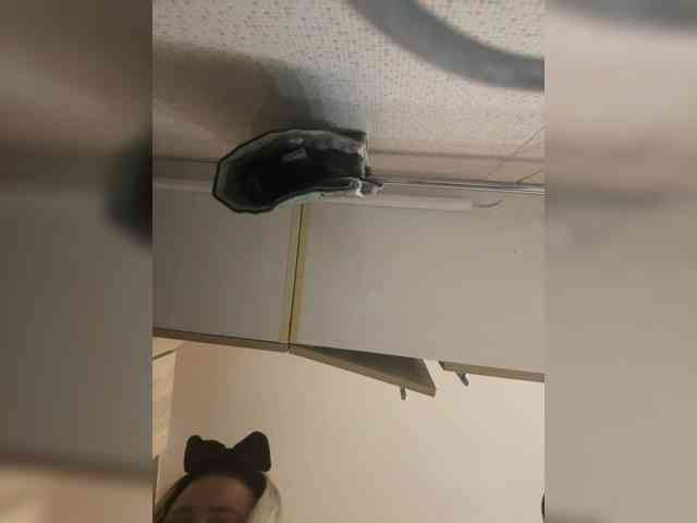 KiraMalina webcam
