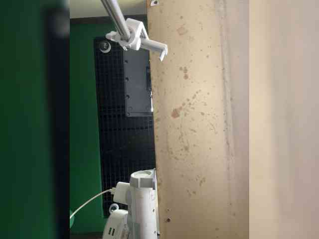 KiraMalina webcam