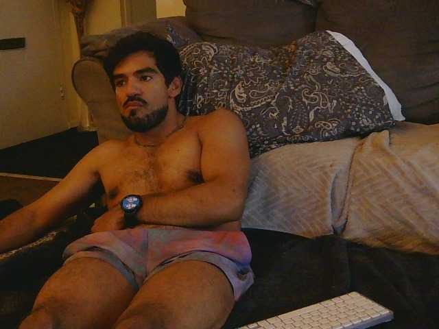Piggylatin