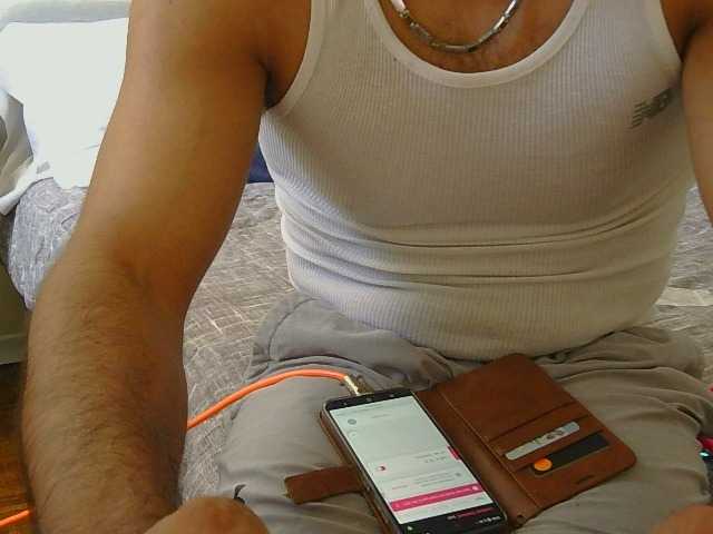 Piggylatin