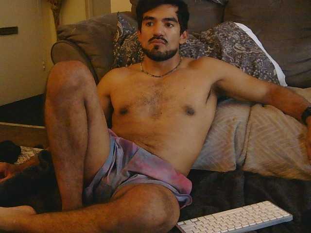 Piggylatin