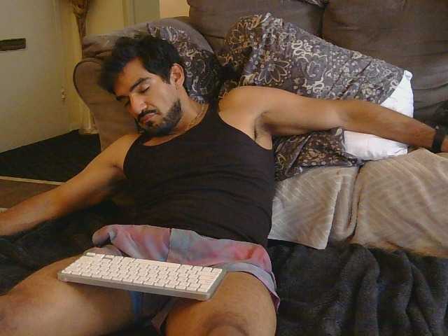 Piggylatin