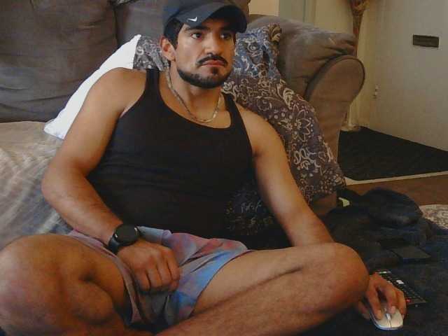 Piggylatin
