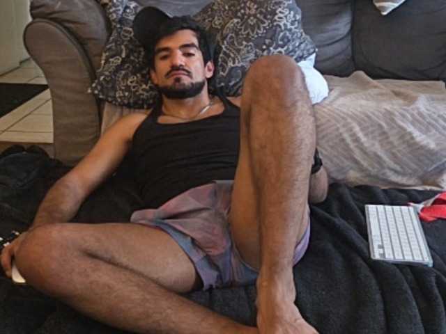 Piggylatin