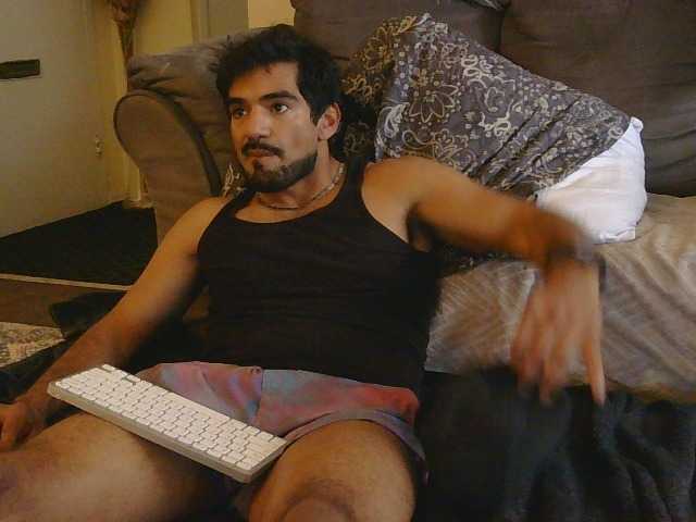 Piggylatin