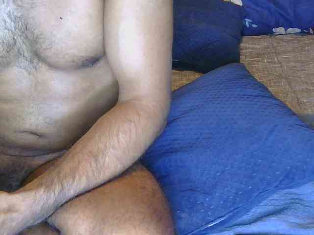 Piggylatin