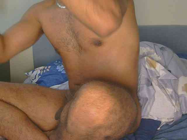 Piggylatin