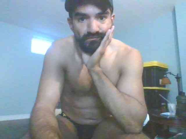 Piggylatin Piggylatin