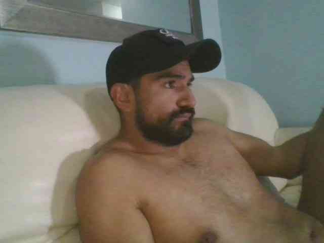 Piggylatin