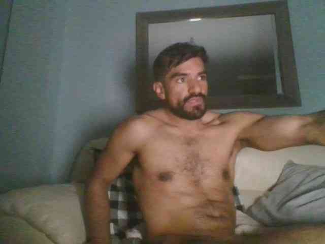 Piggylatin Piggylatin