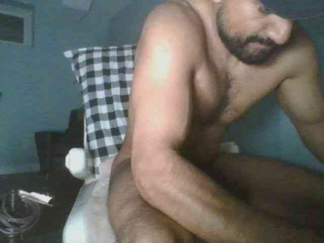 Piggylatin