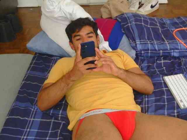 Piggylatin Piggylatin