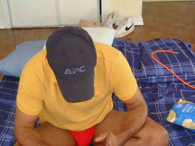 Piggylatin
