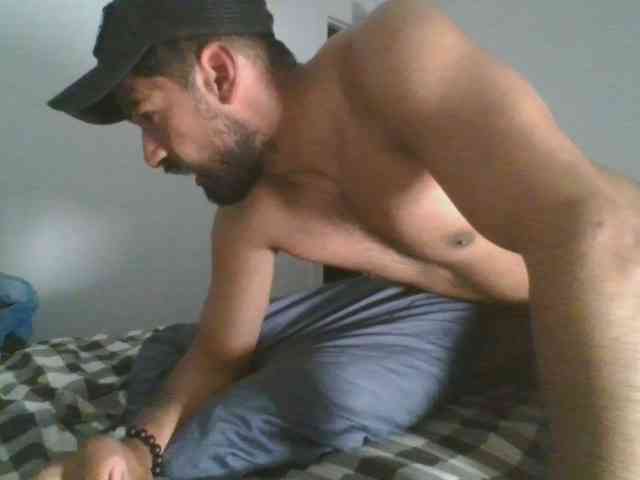Piggylatin
