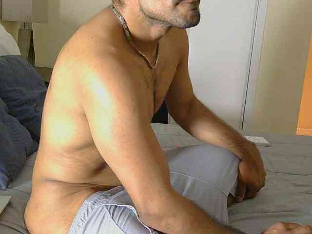 Piggylatin