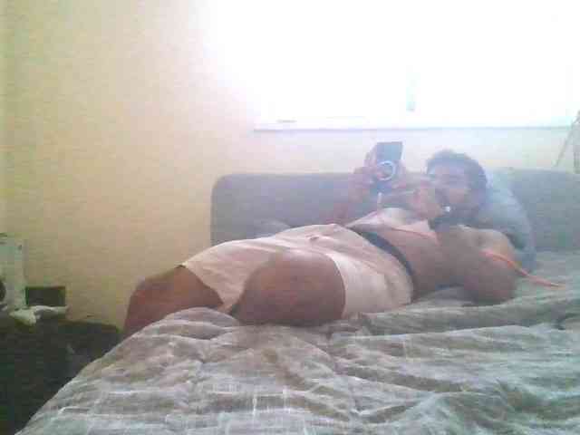 Piggylatin
