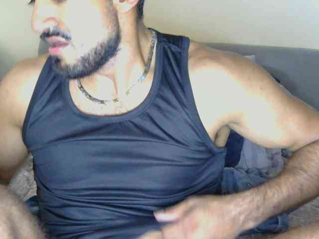 Piggylatin