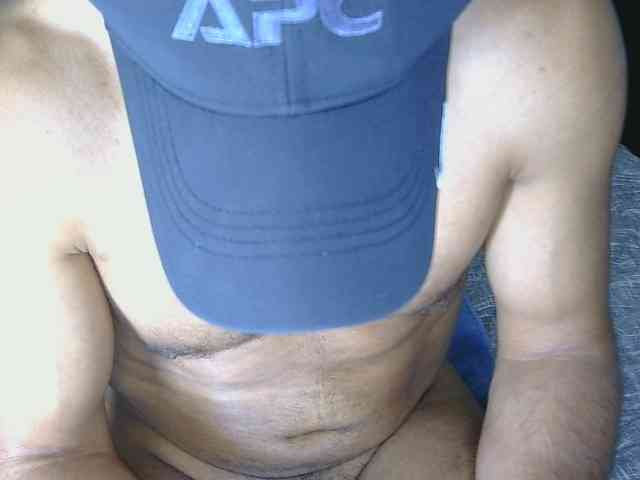 Piggylatin