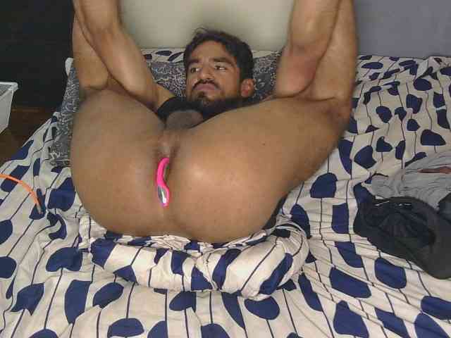Piggylatin
