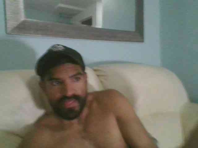 Piggylatin Piggylatin
