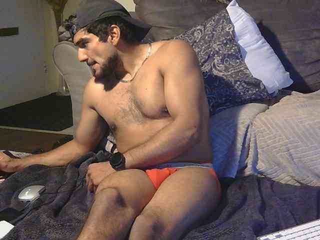 Piggylatin Piggylatin