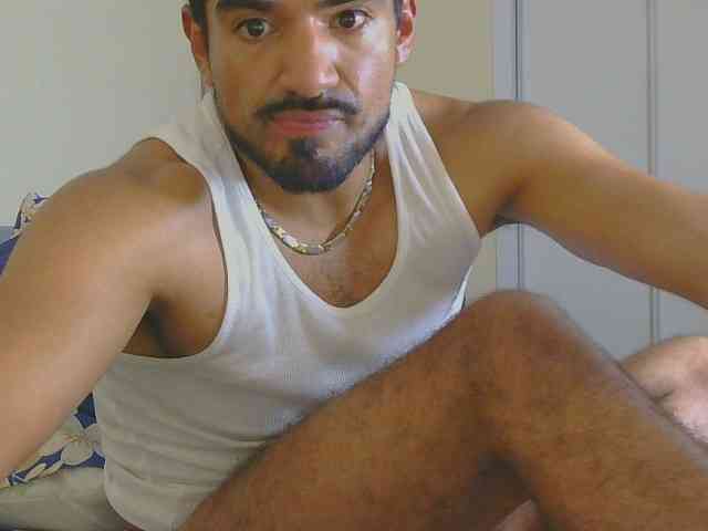 Piggylatin Piggylatin