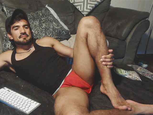 Piggylatin