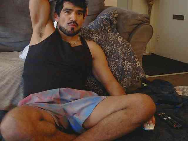 Piggylatin