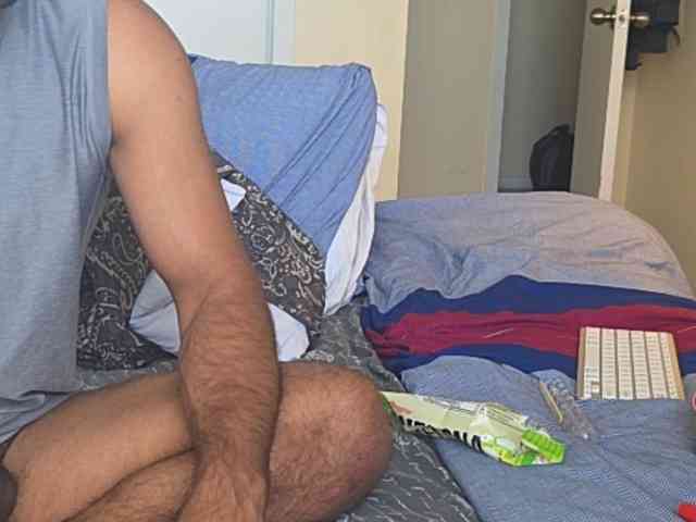 Piggylatin
