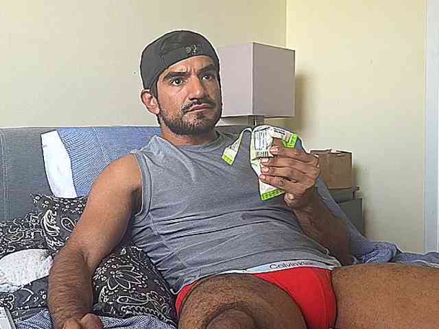 Piggylatin