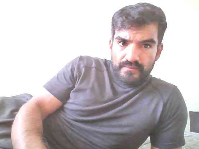 Piggylatin