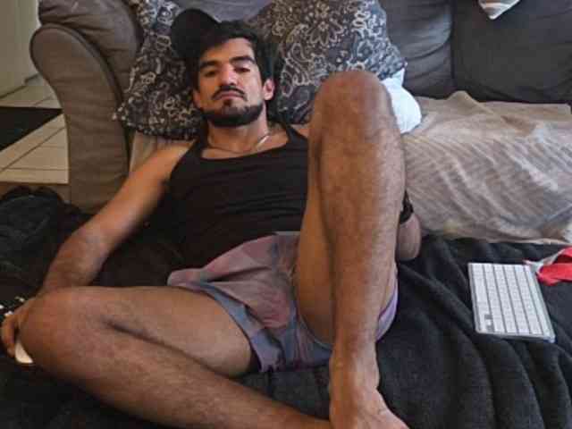 Piggylatin