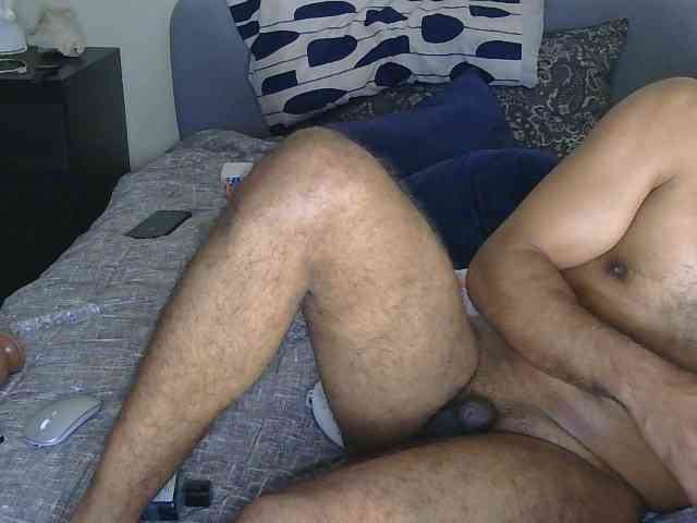 Piggylatin Piggylatin