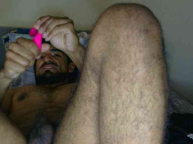 Piggylatin
