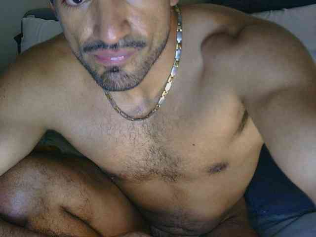Piggylatin Piggylatin