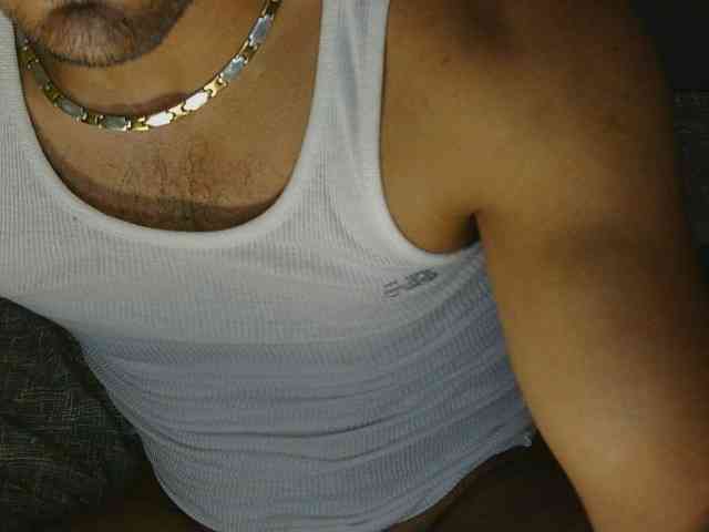 Piggylatin Piggylatin