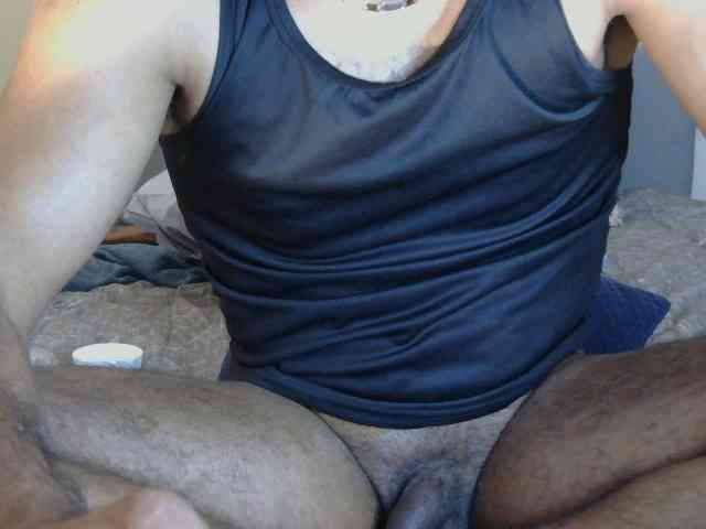 Piggylatin