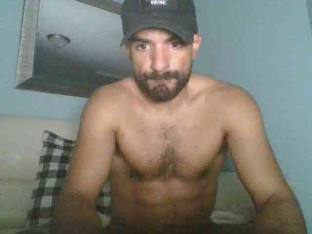 Piggylatin