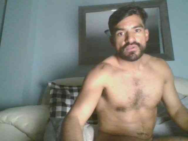 Piggylatin