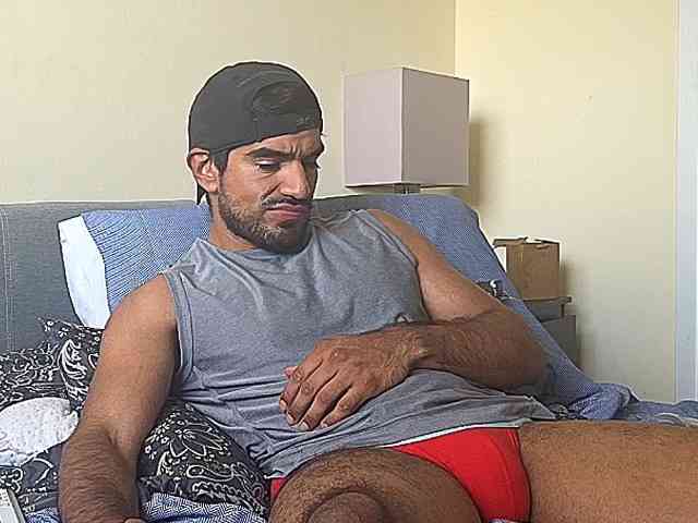 Piggylatin
