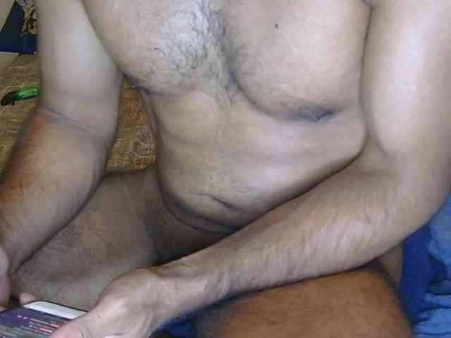 Piggylatin Piggylatin