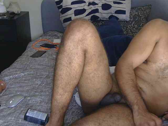 Piggylatin