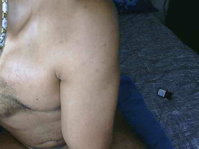 Piggylatin Piggylatin