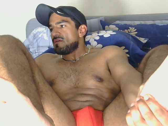 Piggylatin