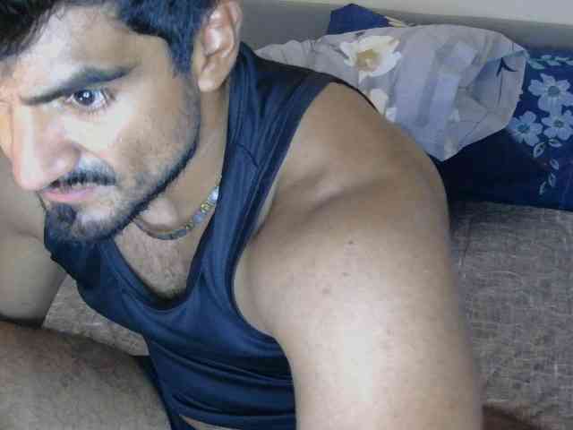 Piggylatin Piggylatin