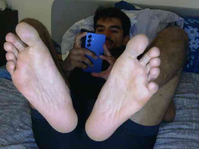 Piggylatin